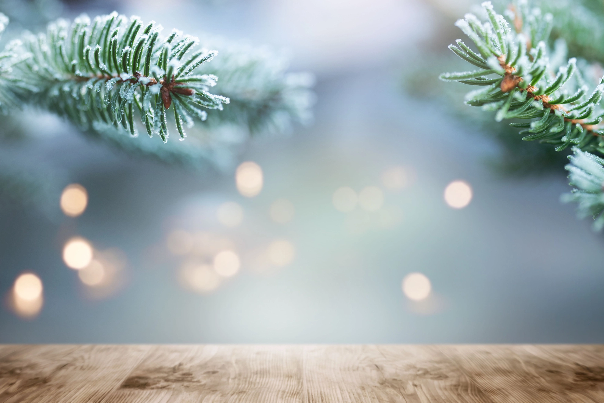 Weihnachtliche Tannenzweige 